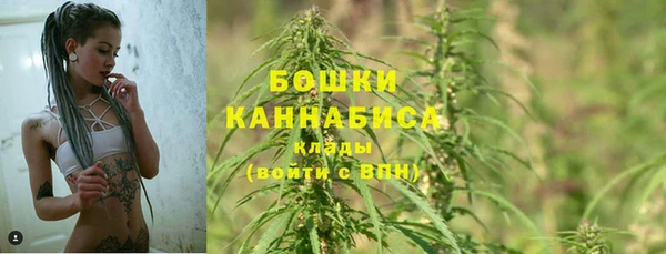 МДПВ Бронницы