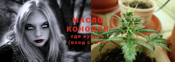МДПВ Бронницы